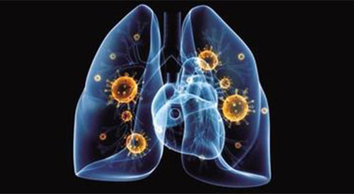 С��֧ԭ����������� ֧ԭ������������